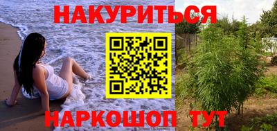 прущие грибы Малгобек