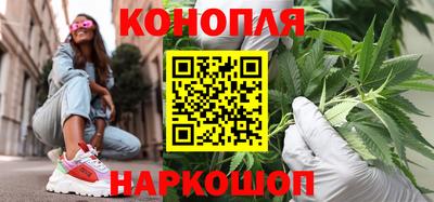 прущие грибы Малгобек