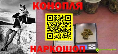 прущие грибы Малгобек