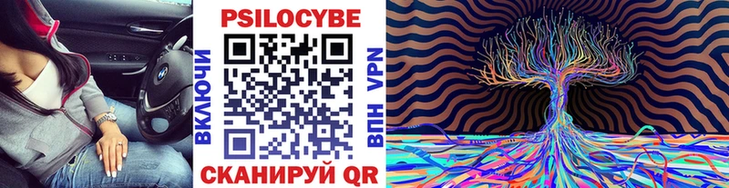 Псилоцибиновые грибы мицелий  Волжск 