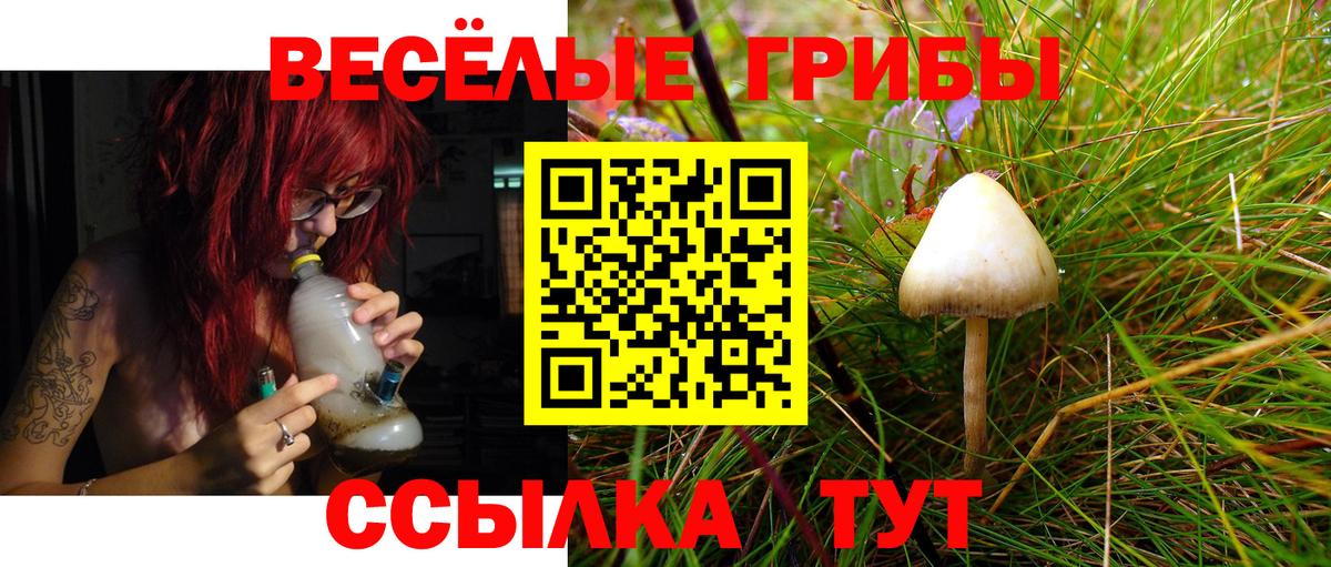 Галлюциногенные грибы ЛСД  Вход с VPN  Волжск  продажа наркотиков  Галлюциногенные грибы прущие грибы 